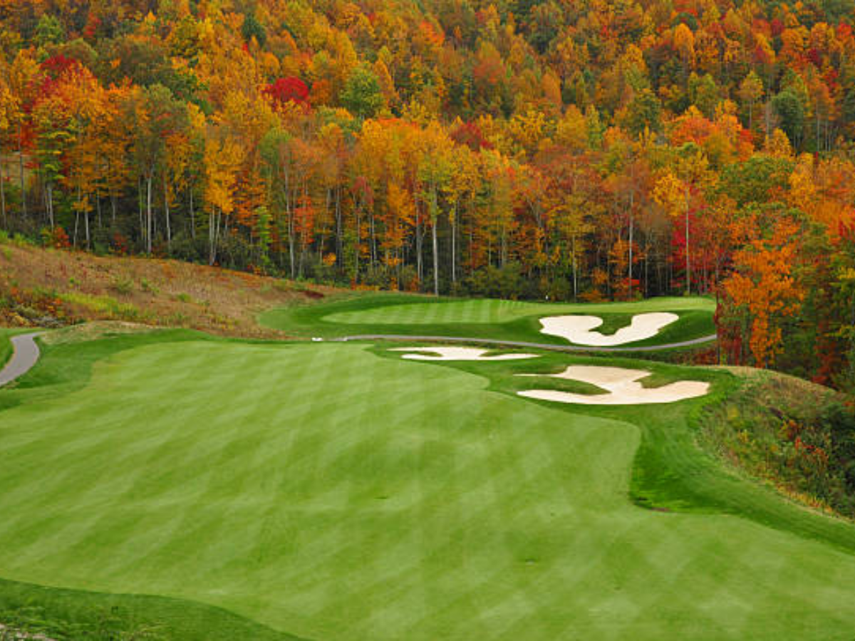 Mid-Credits Scene: The Fall of Maxi Golf