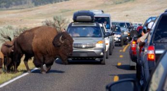 Is Yellowstone National Park Supervolcano About To Erupt? This Is The Last Time It Erupted