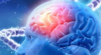 Stealth Proteins Behind Memory Loss? New Study Challenges Alzheimer’s Theories