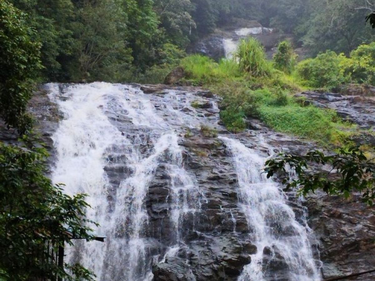 Abbey Falls in full flow surrounded by monsoon greenery