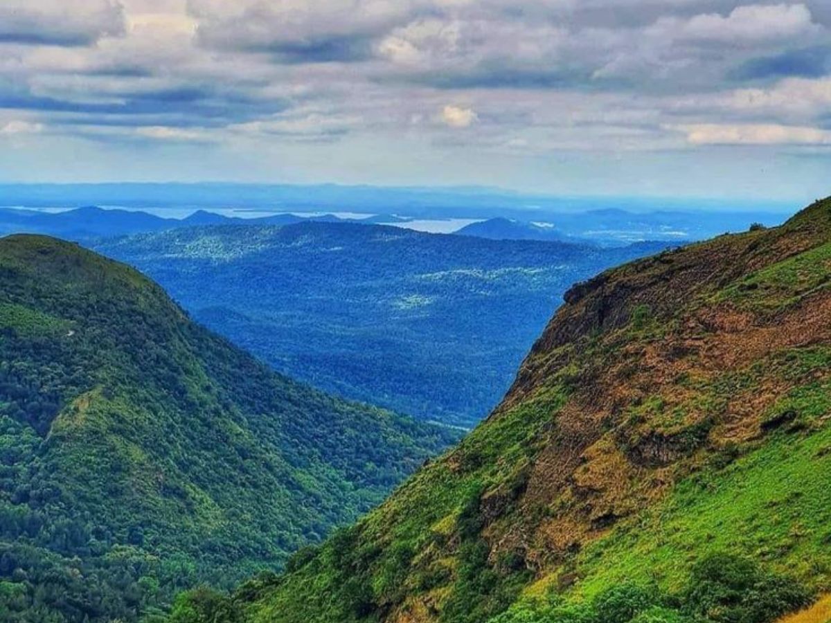 Fog covering the lush Chikmagalur coffee hills in monsoon