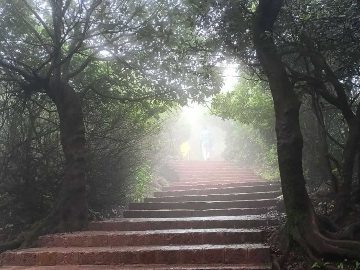 Dense rainforest and trails of Agumbe during heavy monsoon
