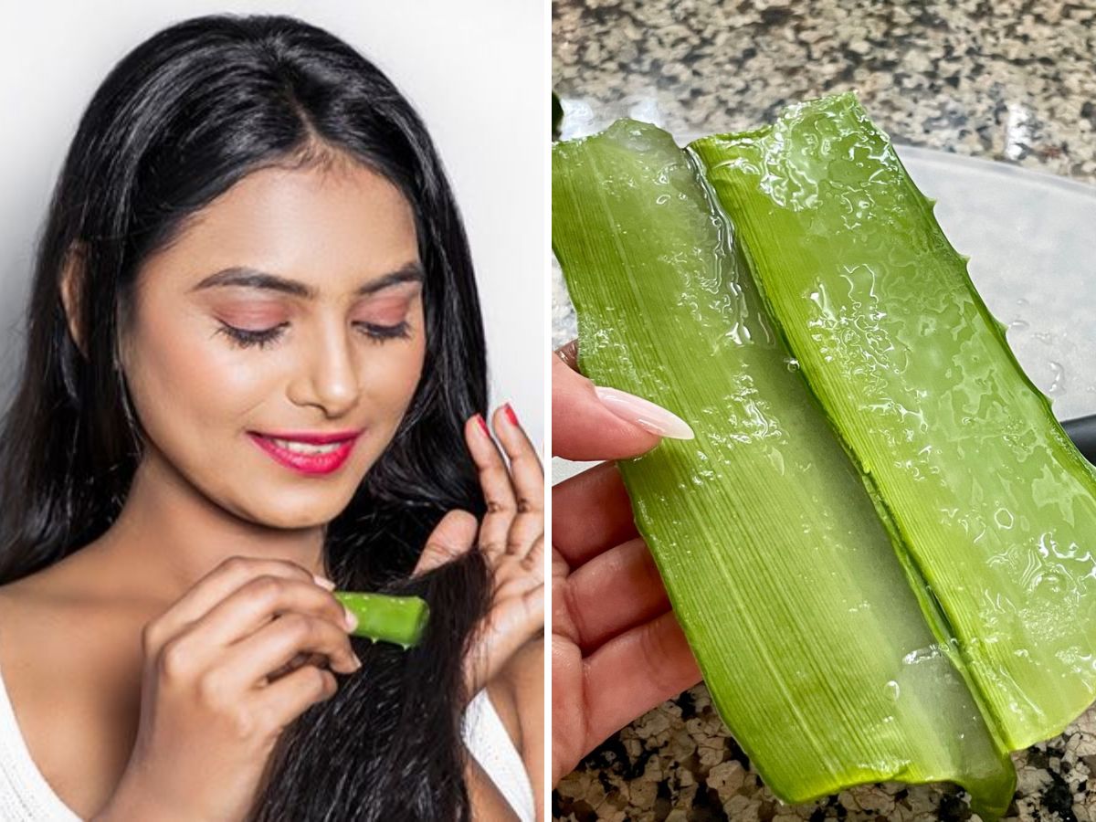 Aloe Vera Scalp Treatment