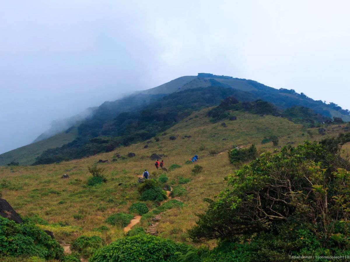Hikers walking along grassy ridge towards Tadiandamol, Coorg’s tallest peak
