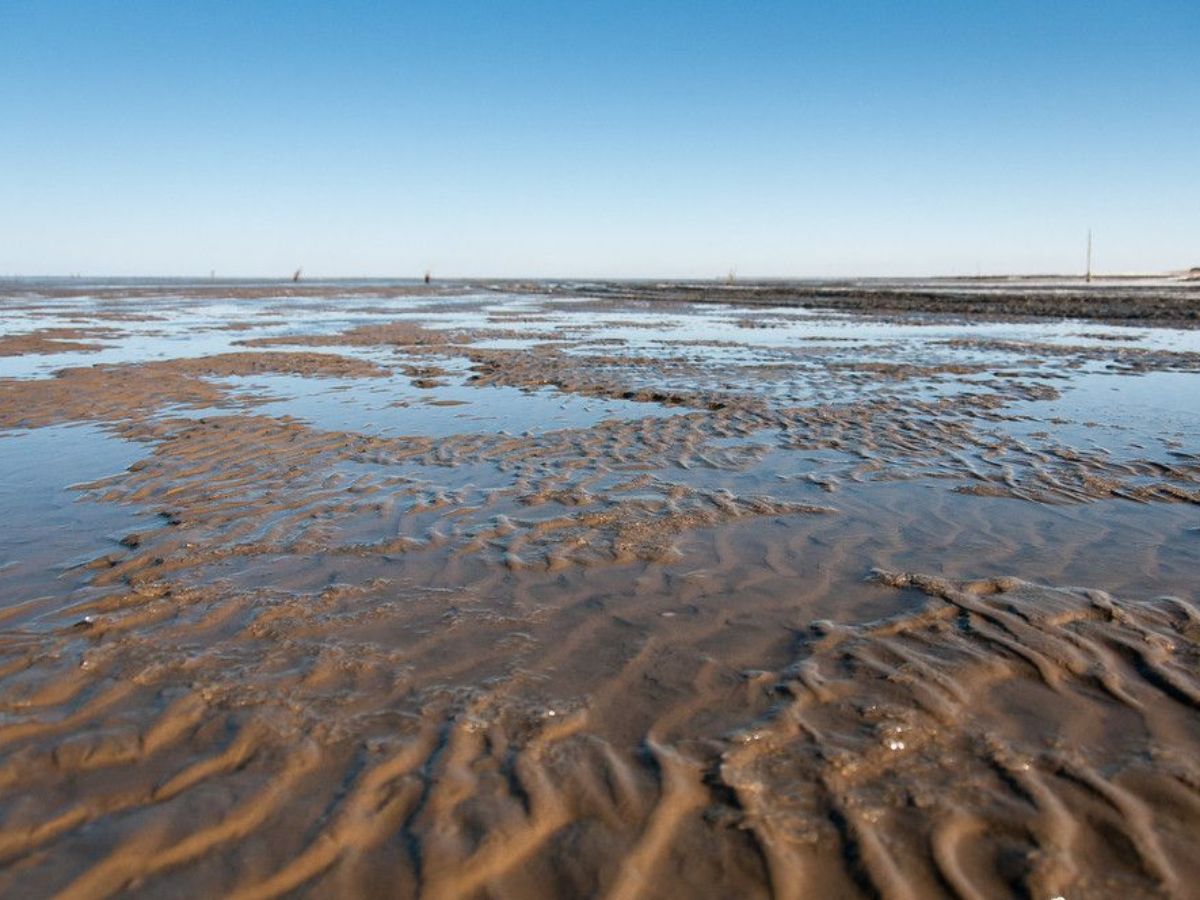 UNESCO World Heritage Site