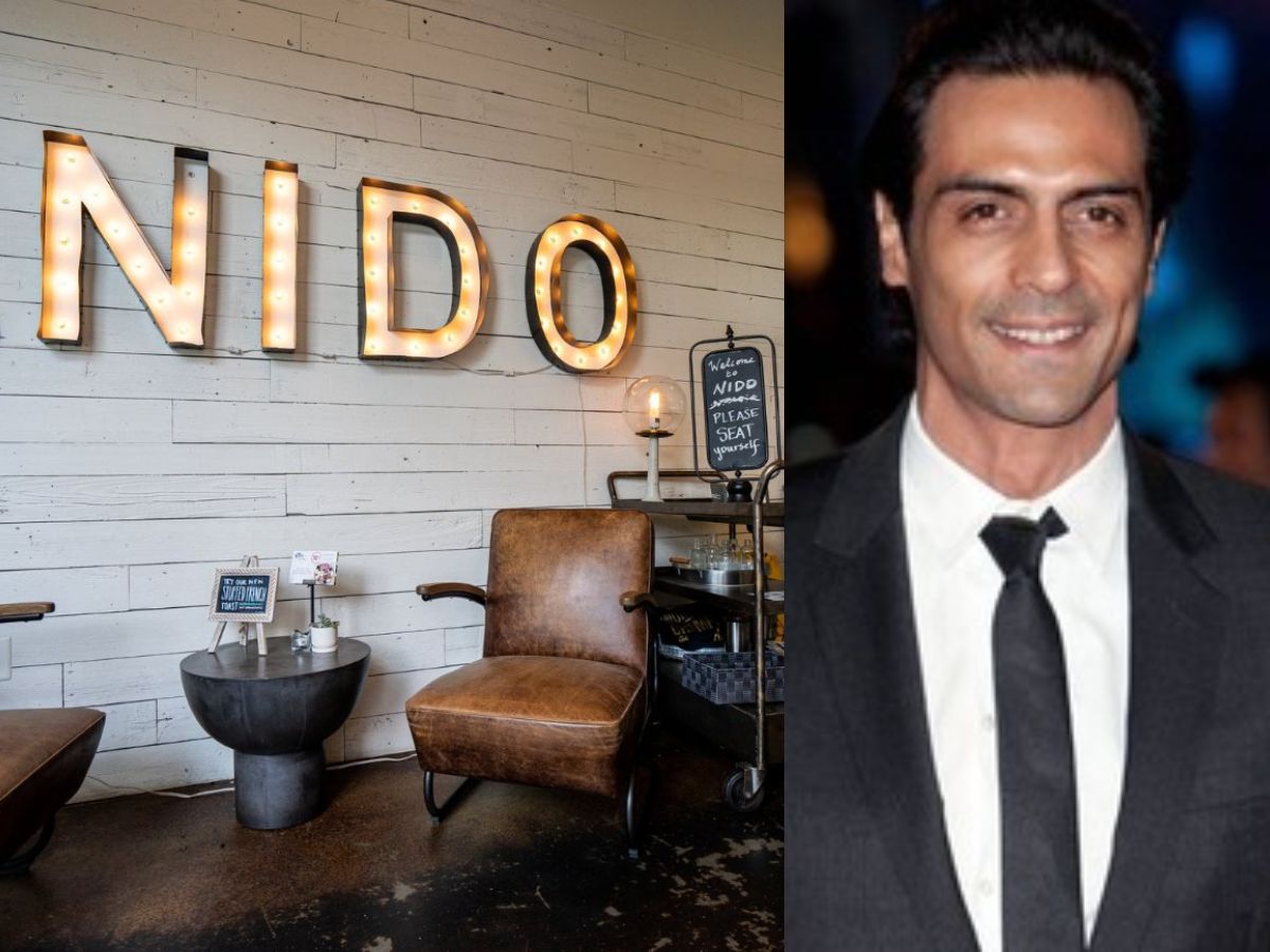 Classy lounge style restaurant with plant decor and wooden tones at Nido.