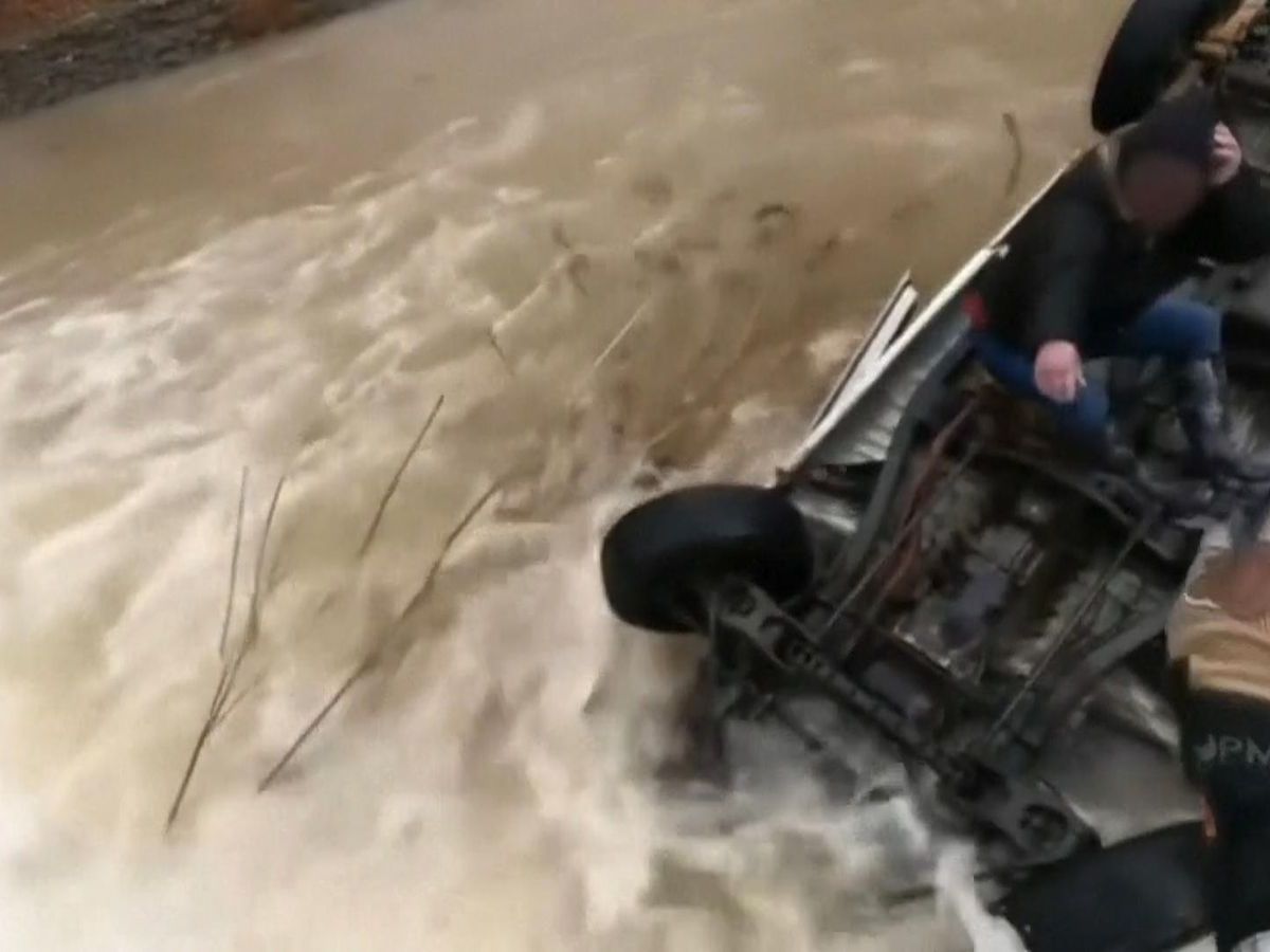 Flood-damaged truck stuck high in a tree after storm in Texas.