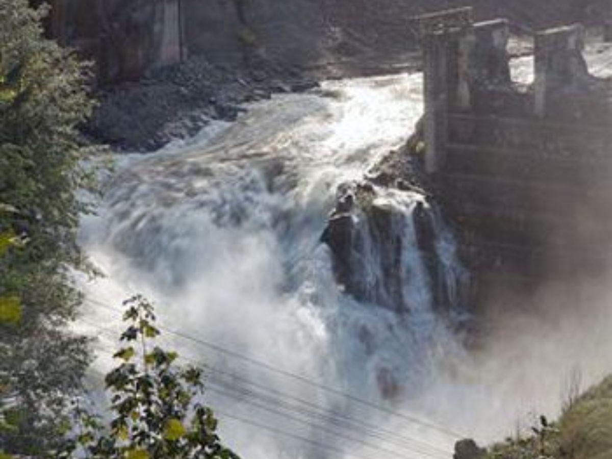 Flooded Texas river with floating debris and broken tree trunks.