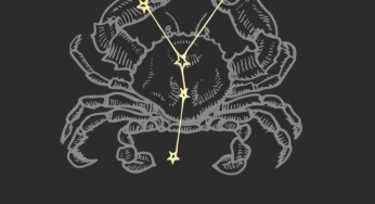 Cancer Horoscope Today For July 23, 2025: Goals Become Clearer Today