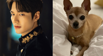 Lee Min Ho Mourns Loss Of Pet Dog Choco As Fans Offer Condolences Ahead of His Film Comeback, Omniscient Reader: The Prophecy
