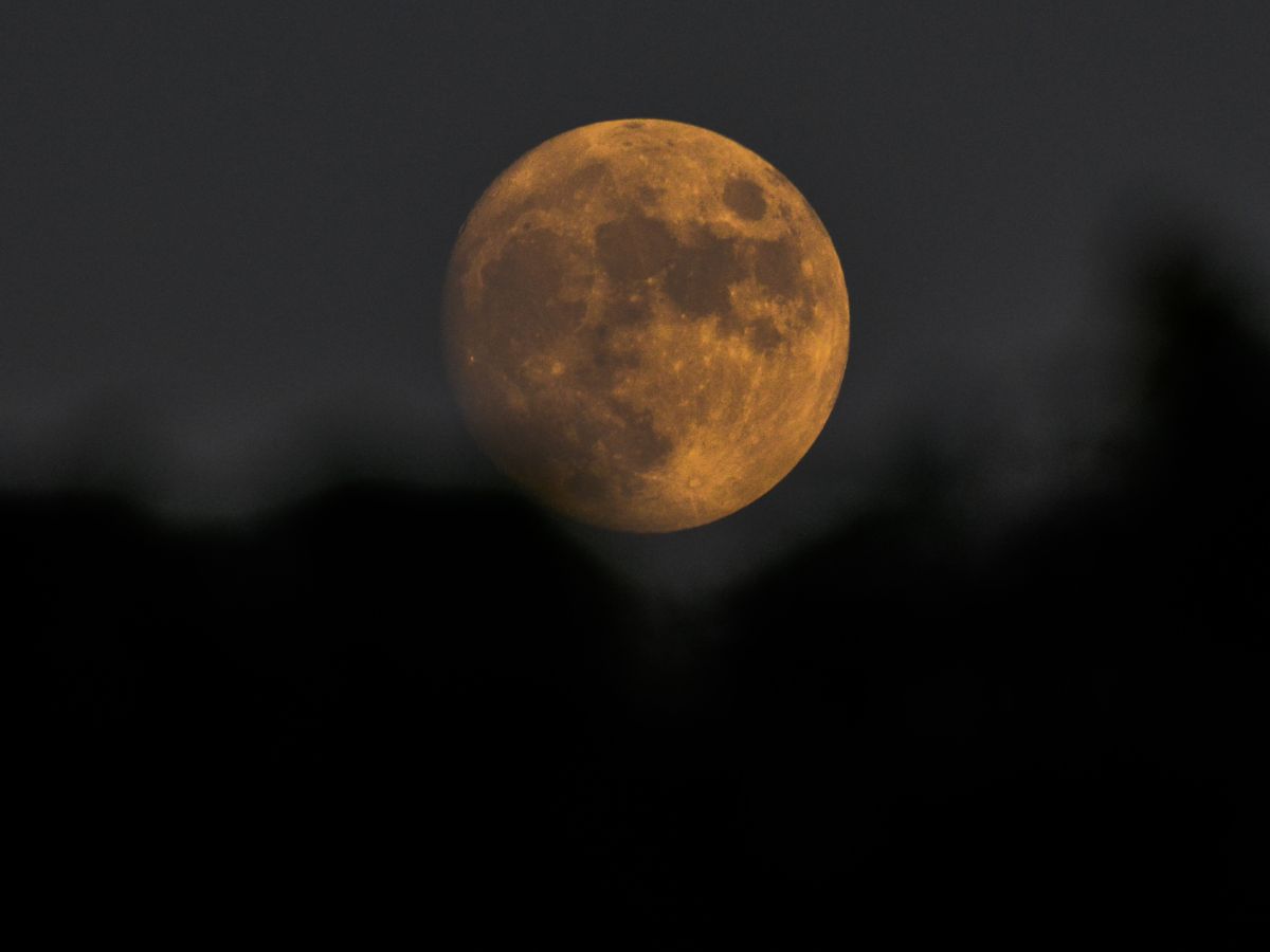 Coincided With Guru Purnima