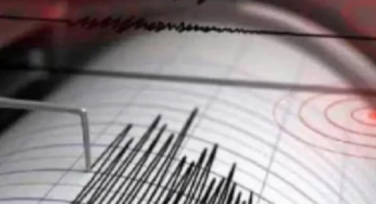 4.4 Magnitude Earthquake Hits Delhi NCR: Why Is Delhi Prone To Earthquakes?