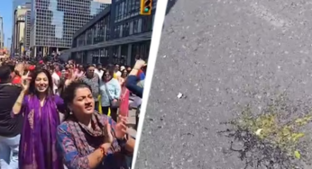 Rath Yatra In Canada: Eggs Thrown On Rath Yatra, India Condemns