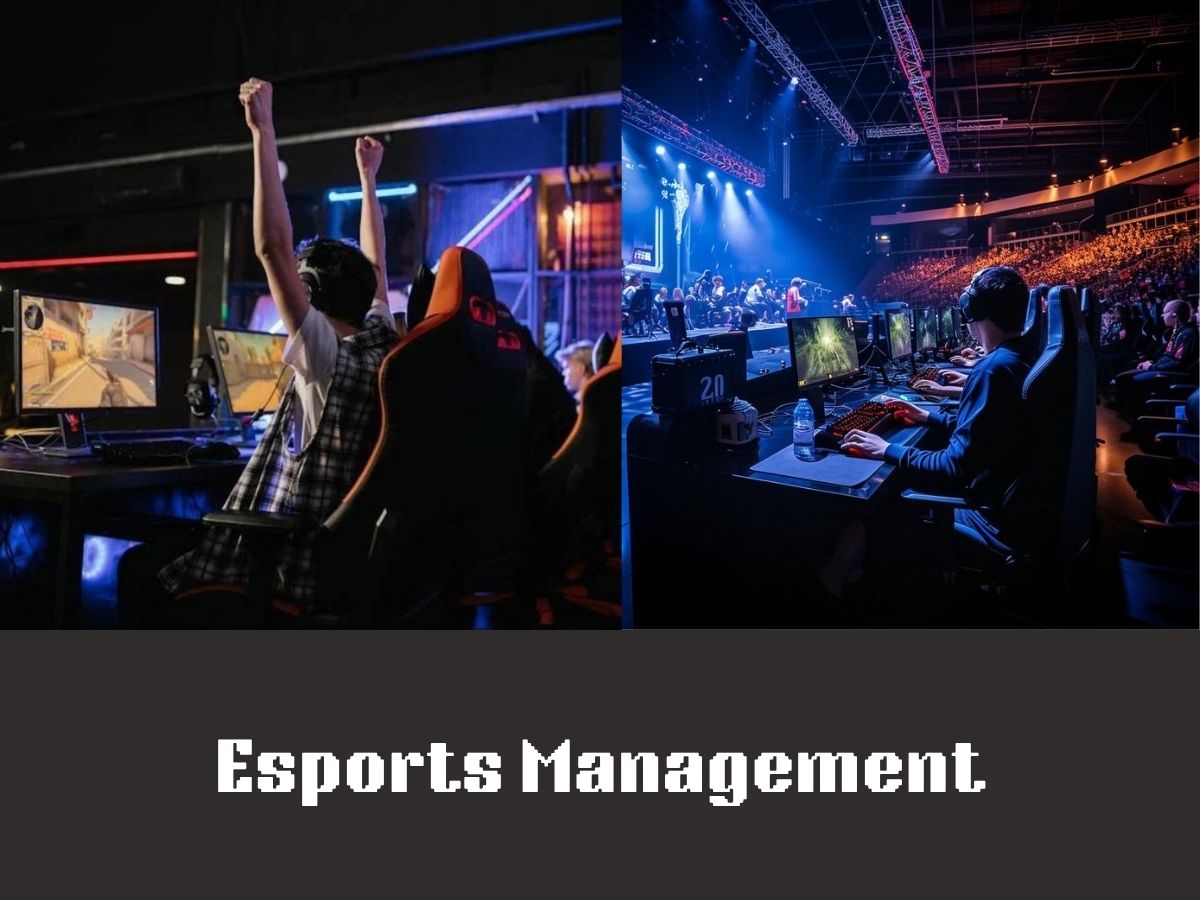 Esports Management