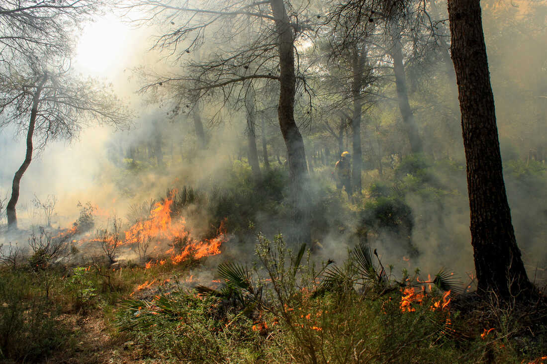Fire risk map for southern Europe