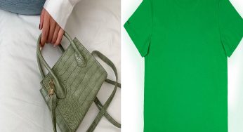 Wearing Green for Wealth: How Vastu Shastra Links the Color Green to Financial Prosperity