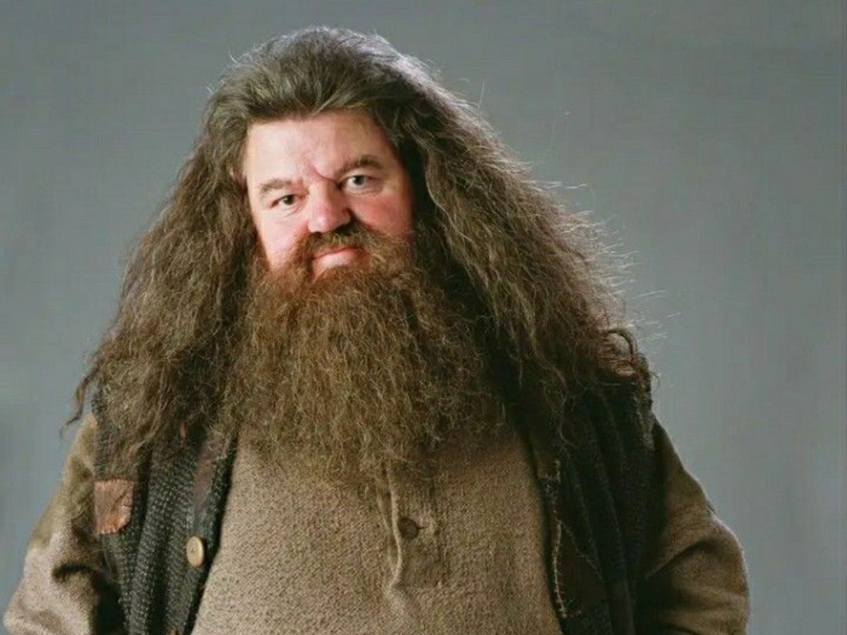 Hagrid's Secret Advanced Magic