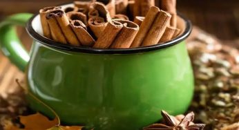 How A Pinch Of Cinnamon In Your Desi Chai Can Help With Seasonal Cold, Cough And Digestion