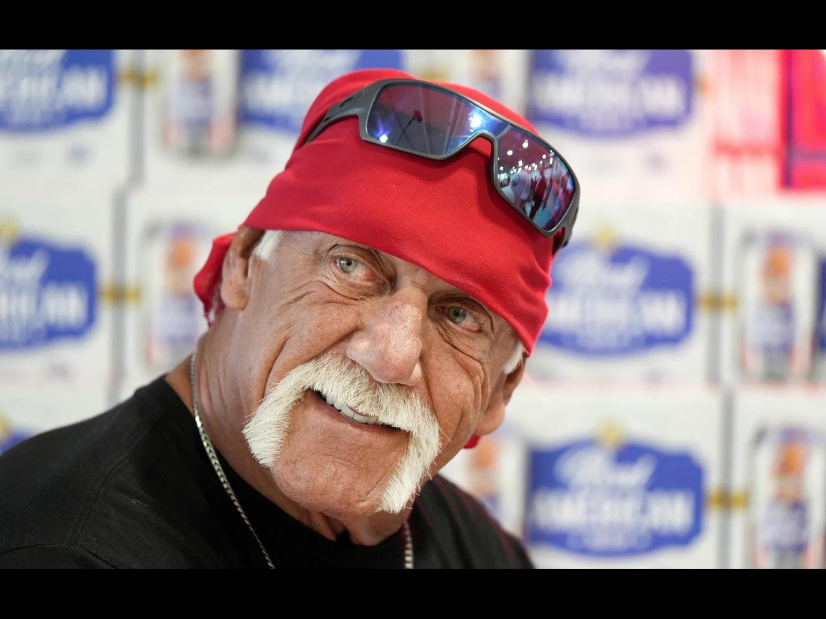Hulk Hogan's Multi-Million Net Worth