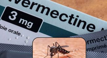 Ivermectin Cuts Malaria Transmission By 26%: Largest Study Offers New Hope