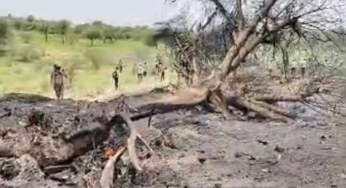 Indian Air Force Fighter Jet Crashes In Rajasthan’s Ratangarh, Two Reported Dead