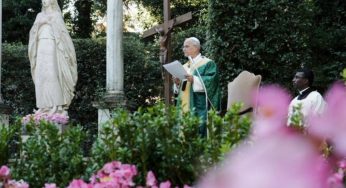 Pope Leo XIV Celebrates First-Ever ‘Green Mass’, Highlighting Urgent Climate Action