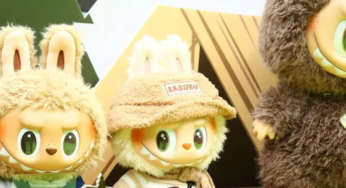 5 Reasons Why You Must Not Buy A Labubu Doll