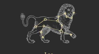 Leo Horoscope Today For July 25, 2025: Goals Become Clearer Today