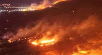 Turkey Battles Intense Wildfires In Izmir, 50,000 Evacuated As Airport Operations Disrupted