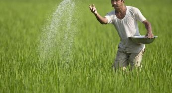 Crop Pattern Shift And Early Monsoon Drive Agrochemical Sector Recovery