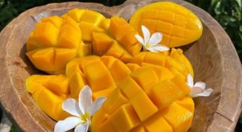 Can Diabetics Eat Mango? 9 Smart Ways to Enjoy Mango Without Spiking Blood Sugar