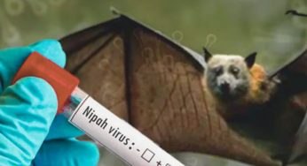 What Causes Nipah? 5 Quick Facts As Kerala Fights Deadly Virus Again