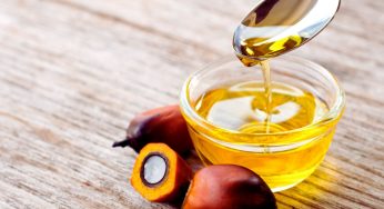 Palm Oil Alternatives: Exploring Healthier Options Beyond The Obesity