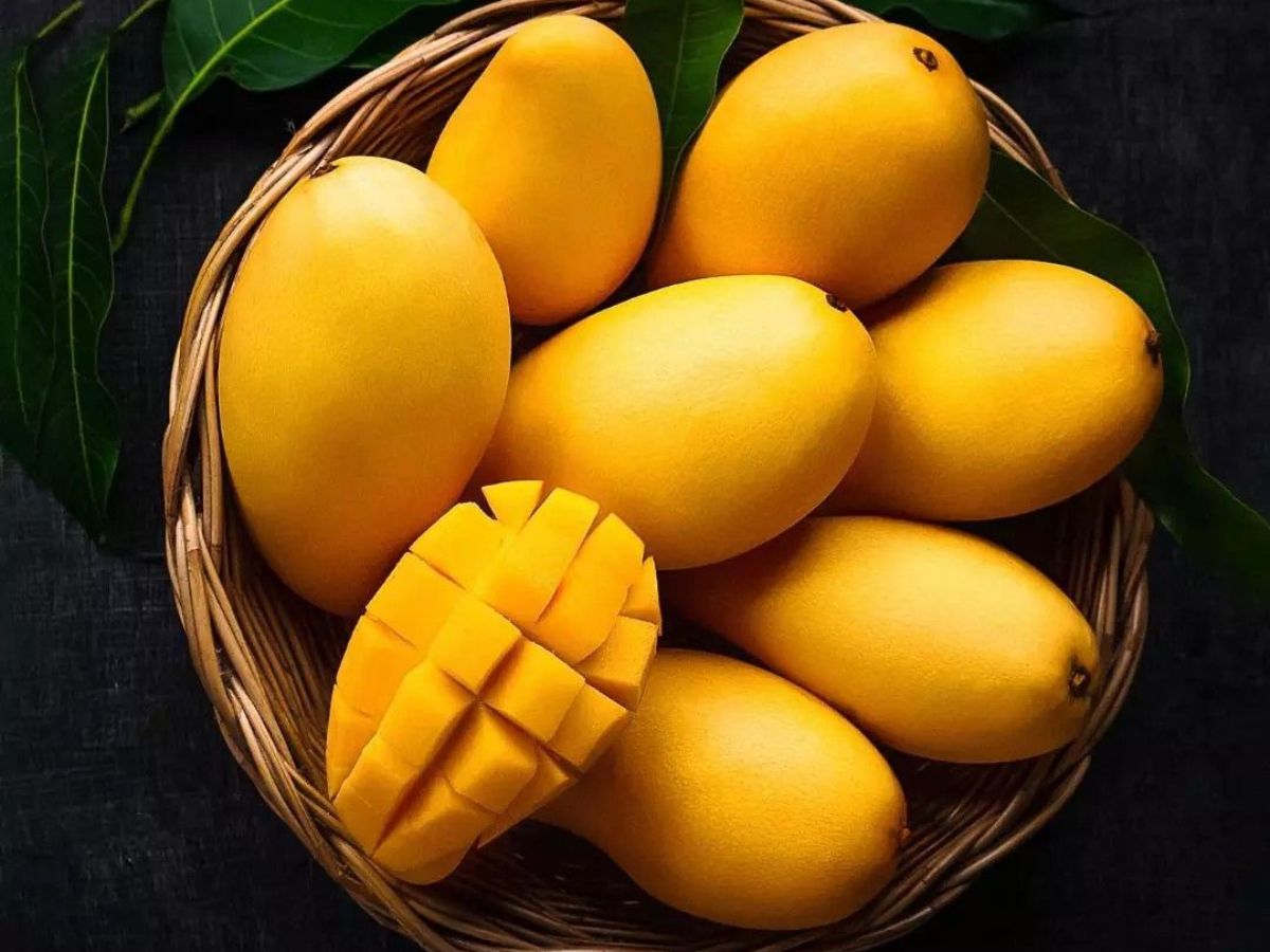 Mango (Aam)