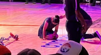Red Panda Injured in Shocking Fall During WNBA Halftime Show