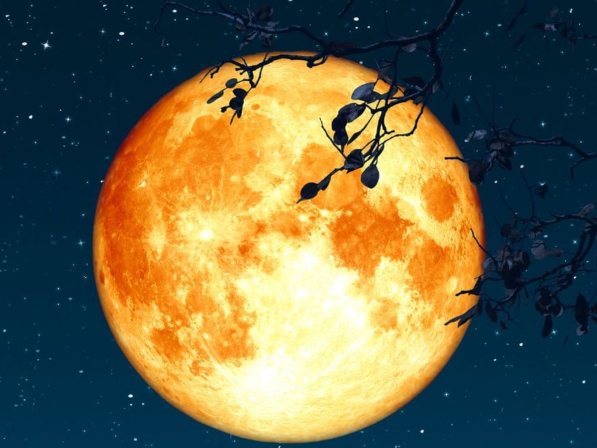 Showcased A Golden/Orange Hue