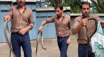Viral Video: Sonu Sood Calmly Rescues A Snake Bare-Handed, Found In His Society, Reveals, ‘Mujhe Aata Hai Pakadne’