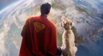 Krypto’s Charm: James Gunn’s Superman Has Led To A More Than 500% Search For The Adoption Of Dogs In US