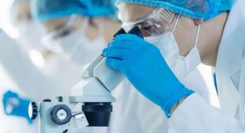 Australian Scientists Discover Key Proteins That Could Transform Cancer and Aging Treatments