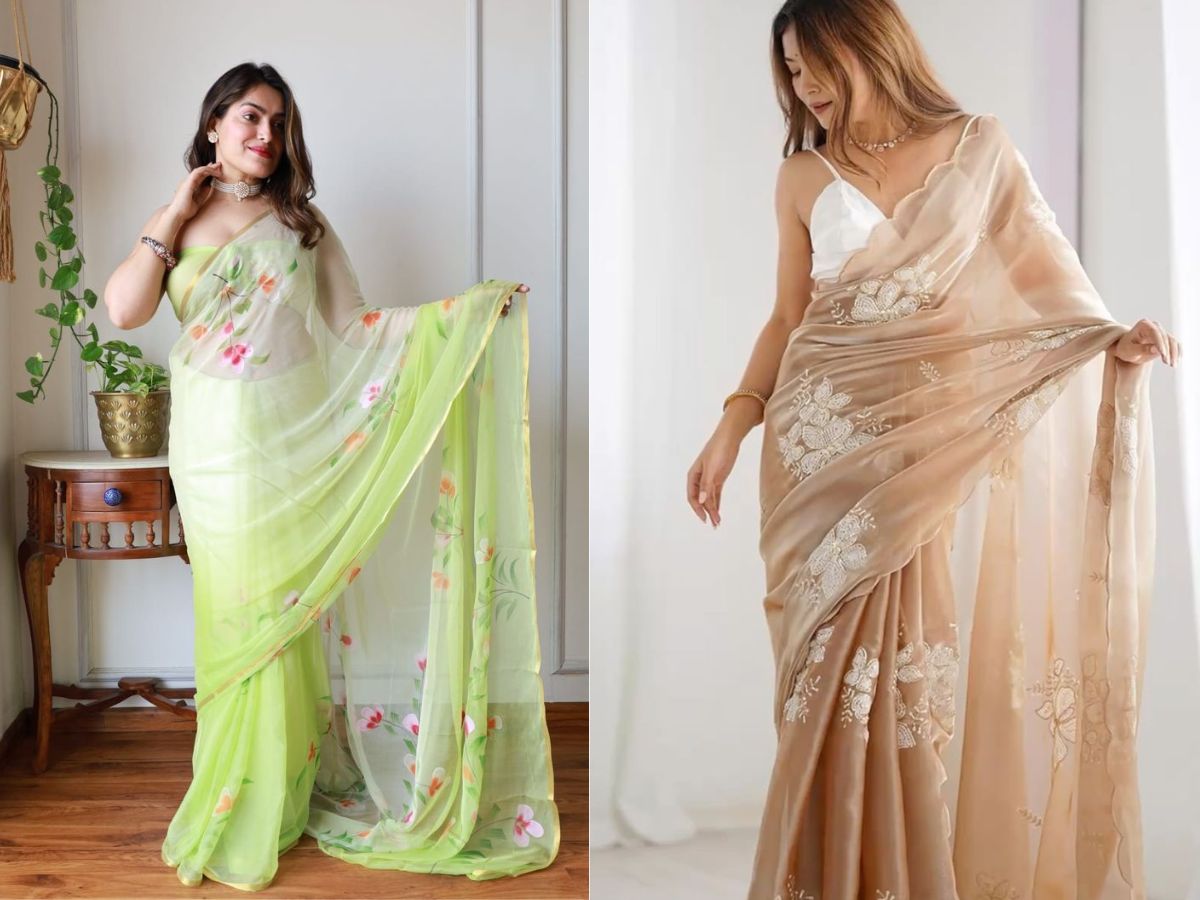 The Lightweight Organza Or Chiffon Saree