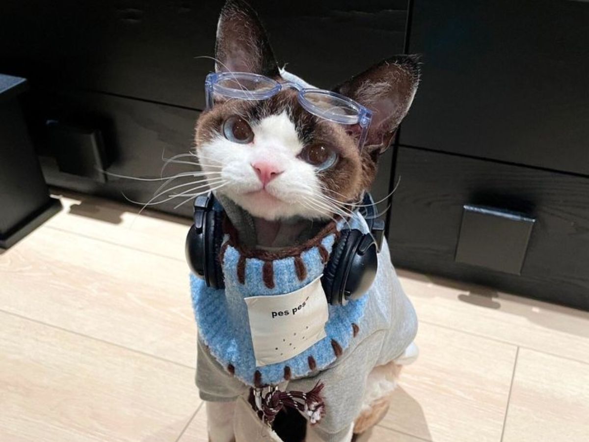 They Associate Names With Experiences