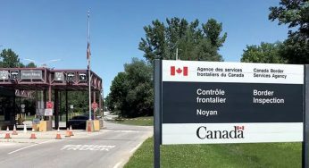 ICE Detains Green Card Holder Esther Ngoy Tekele: Deportation Battle Highlights Harsh Immigration Crackdown