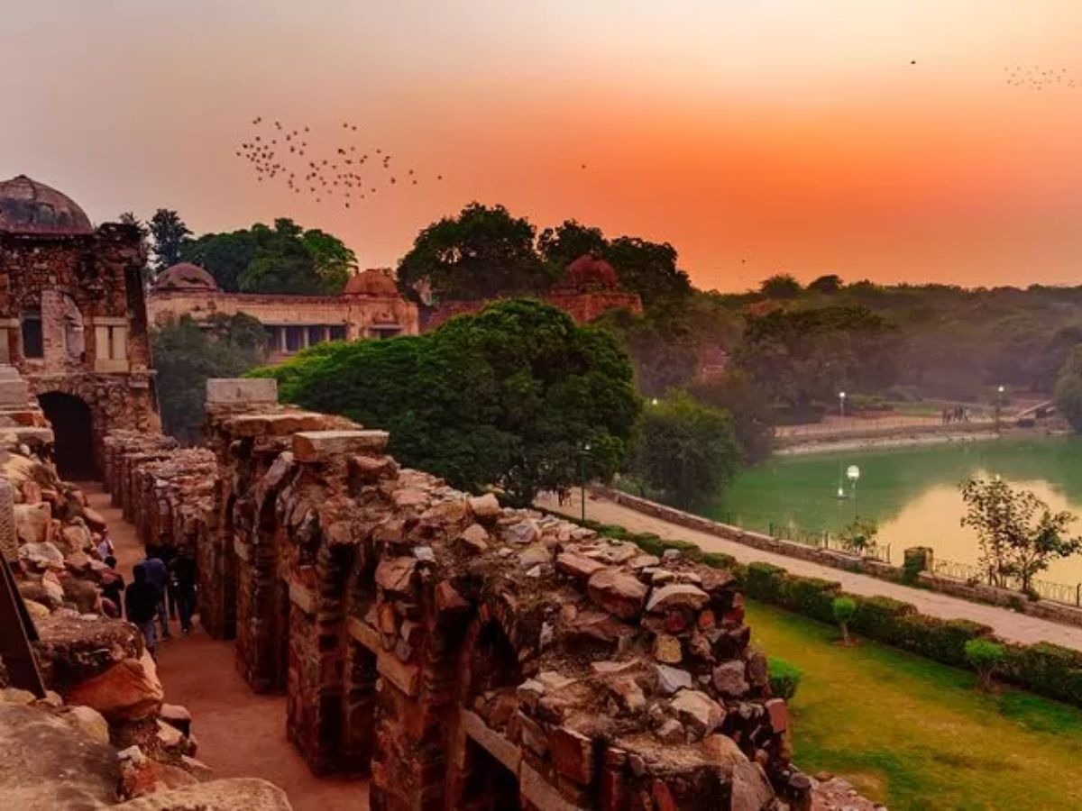 Deer Park - Get a Close-Up Look at Nature and Animals