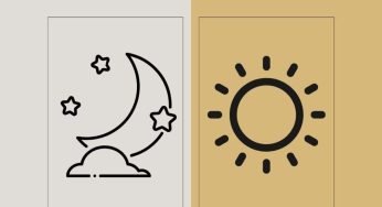 Early Bird or Night Owl: What’s the Best Time to Study for Peak Focus?