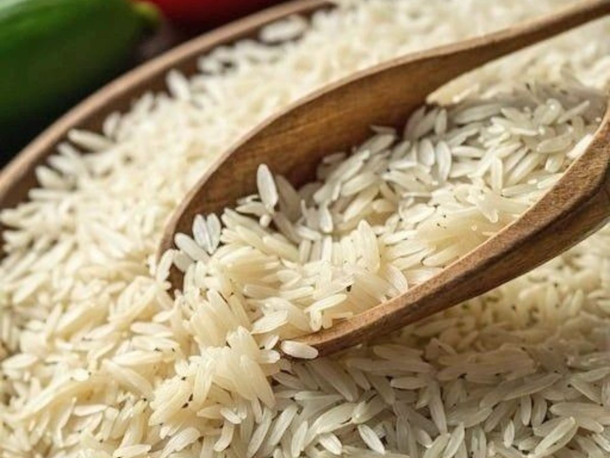 Short-grain aromatic Katarni rice from Bihar