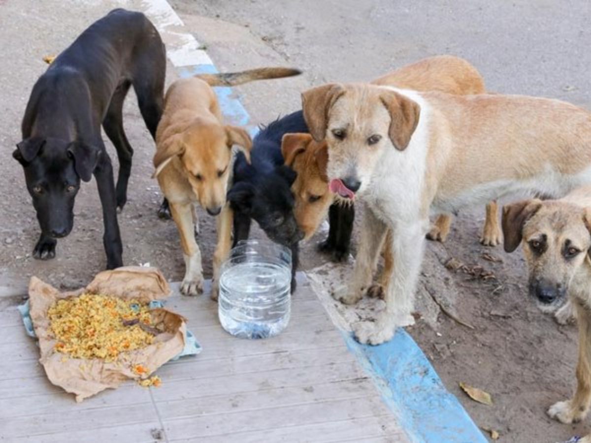 Mixed Reaction from the People