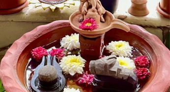 Vastu: Top 5 Plants For North-East Corner Of Your Home That Can Bring Prosperity