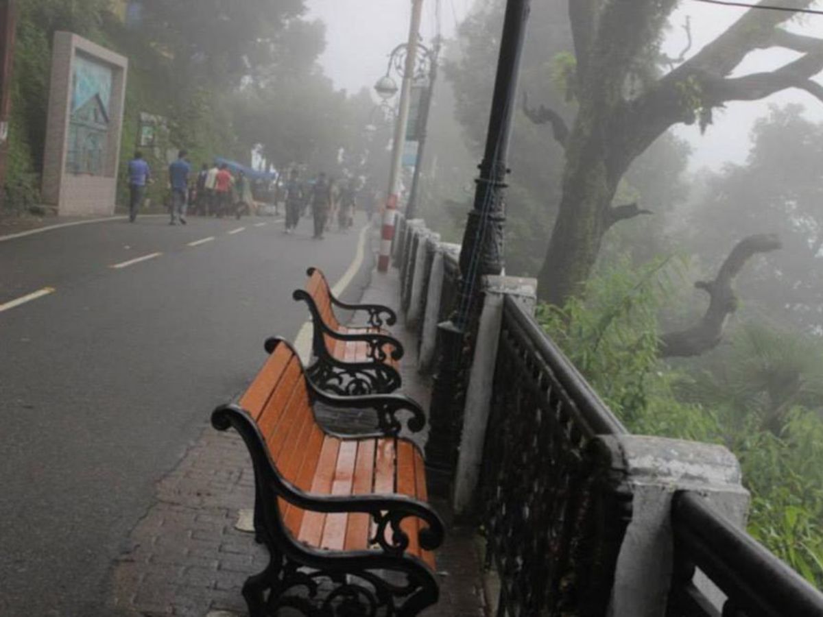 A Perfect Blend of Peace and Buzz