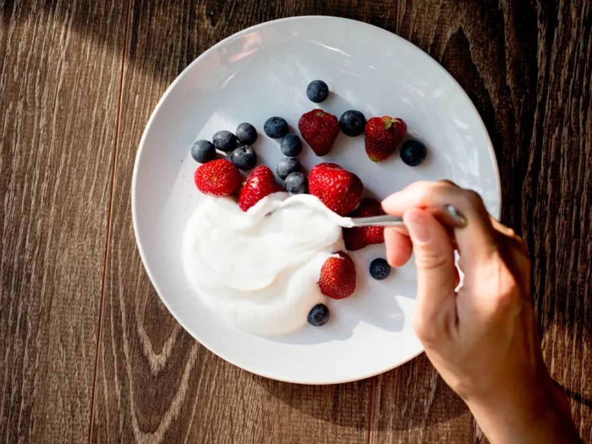 Greek Yogurt - Boost Metabolism & Gut Health