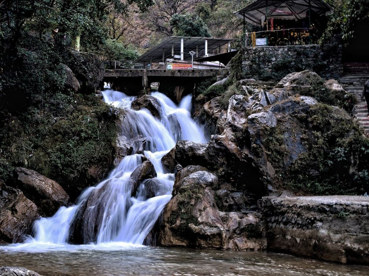 Evergreen Weather That Wins Hearts